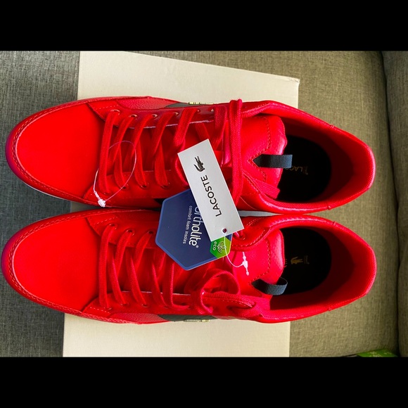 COPY - Brand new Lacoste shoes - Picture 5 of 8